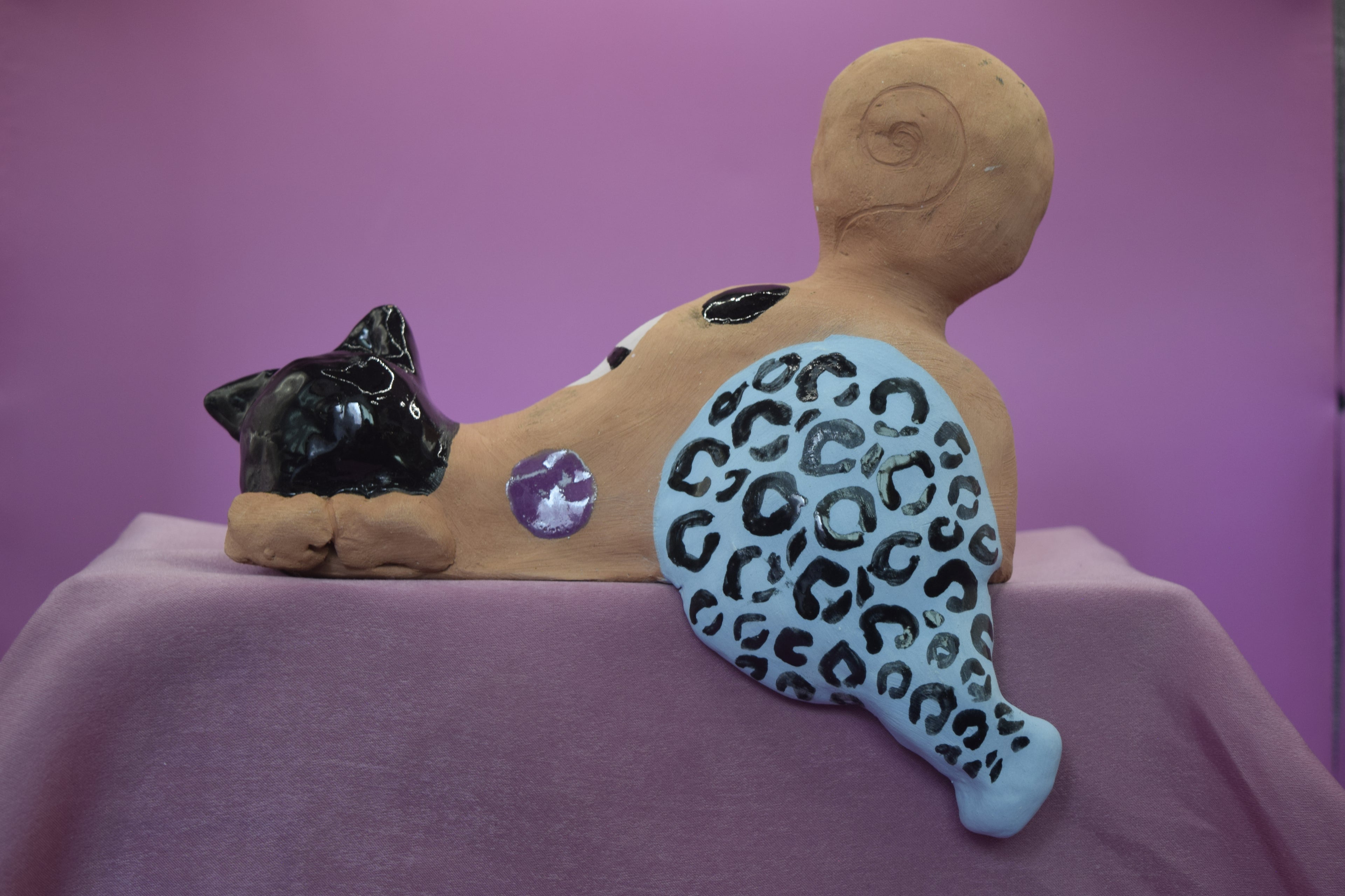 Gato Concha de Tortuga